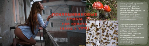 гашик Дедовск