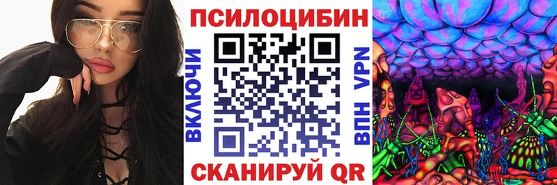 Псилоцибиновые грибы Psilocybe  дарнет шоп  Далматово 